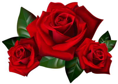 Red Roses PNG Smallest.png