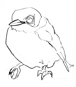 roundbird.PNG
