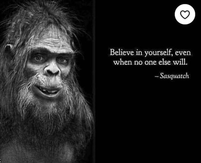 Sasquatch Self Help Meme.jpg