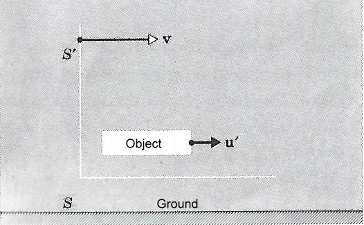 Scan.jpg