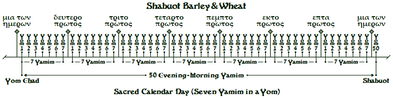 shabuot-barley-wheat.png