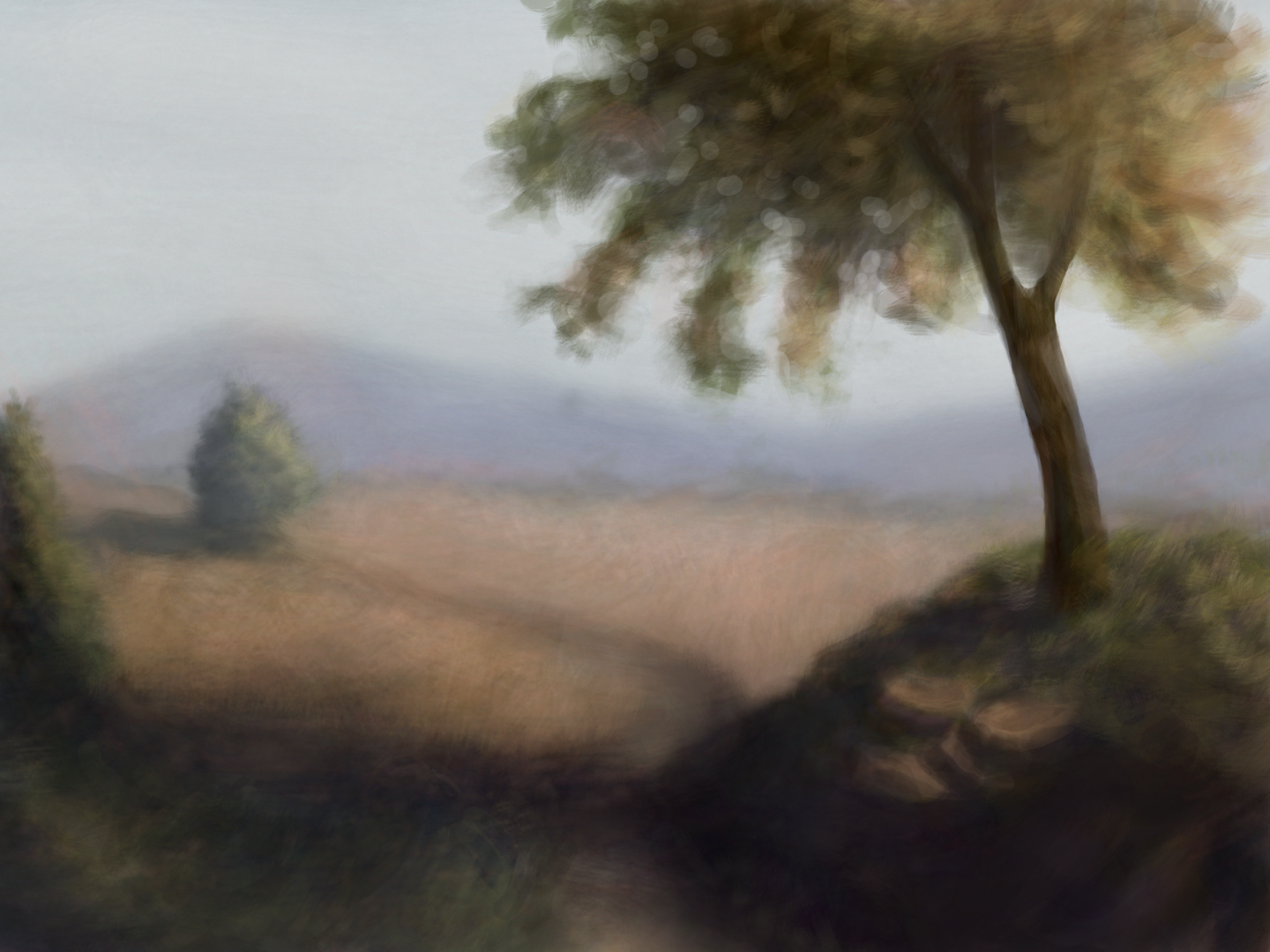 shadows.png