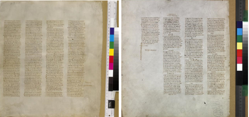 sinaiticus pages darker than other pages.png