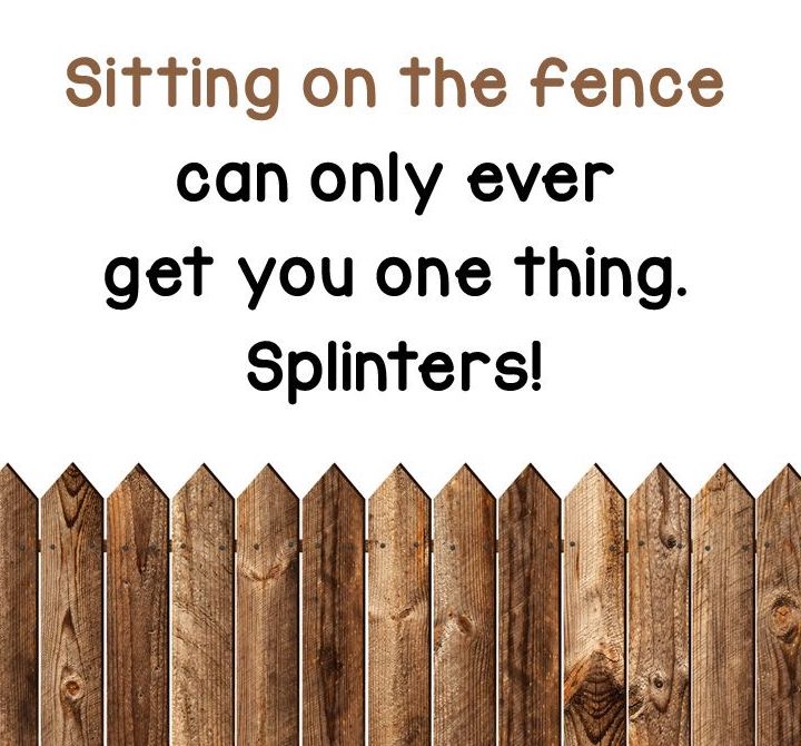 Sitting on the fence.jpeg