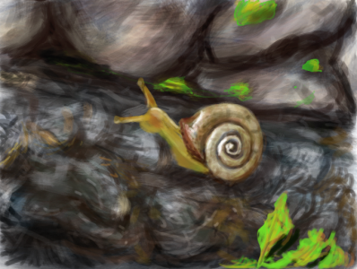 snail's pace small.png