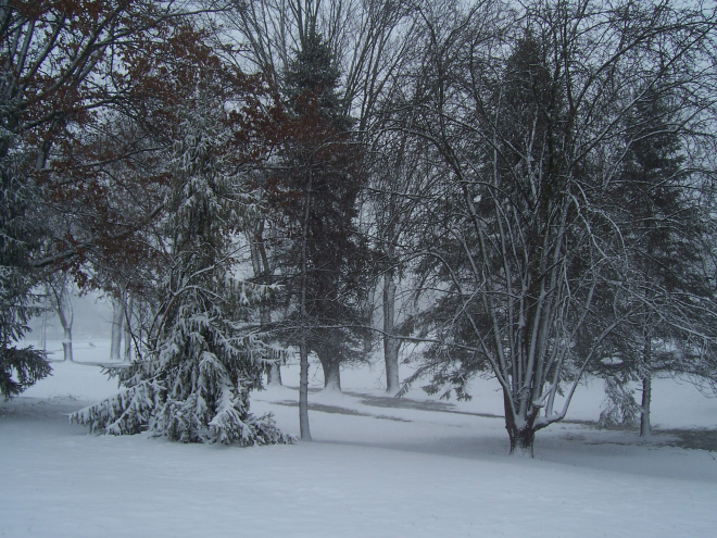Snow.png