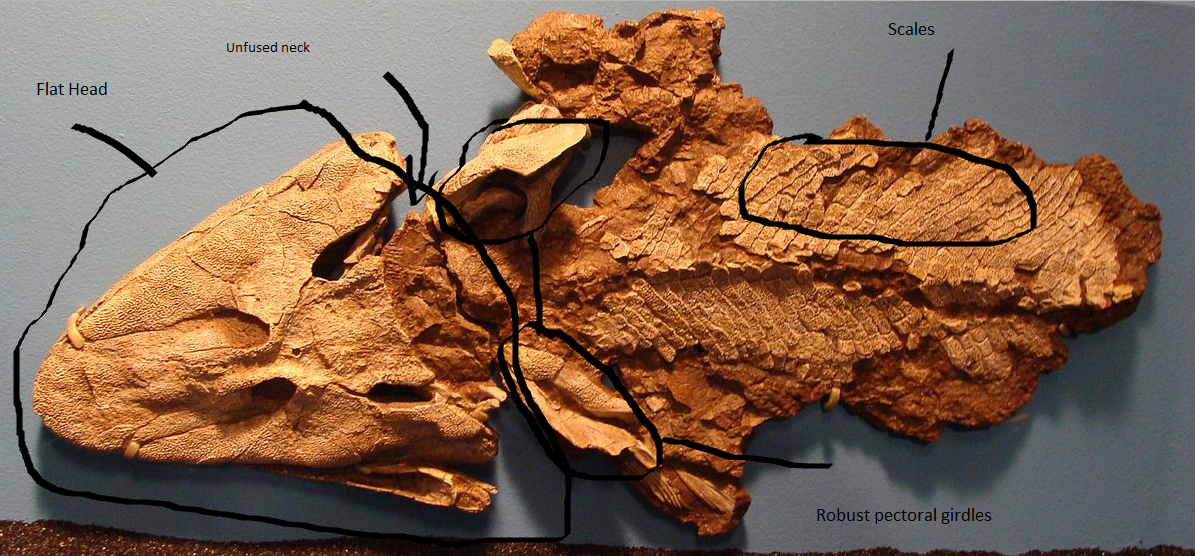 specimen 1.png