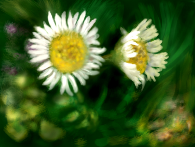 spring post sm.png