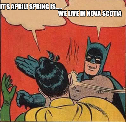springnova.png