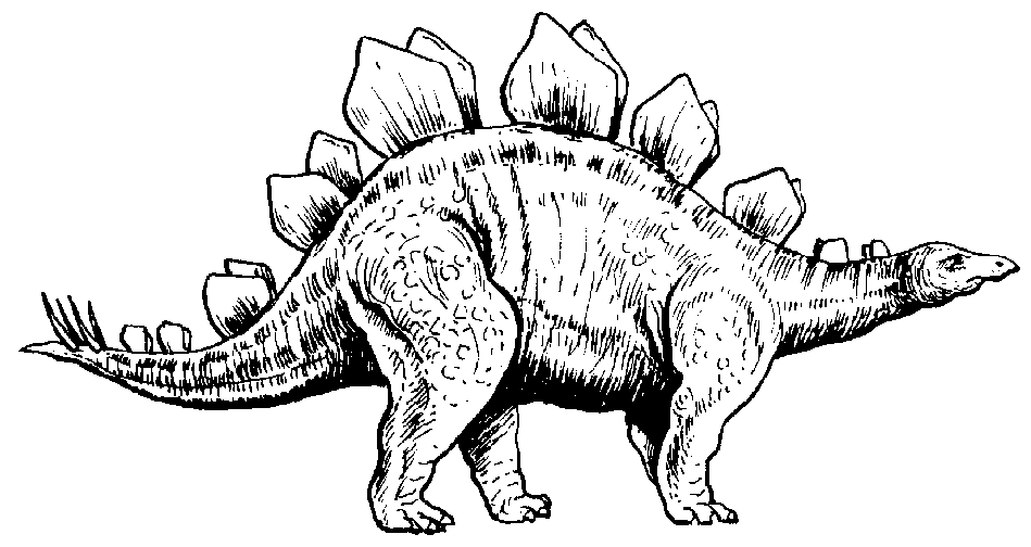 stegosaurus-3.gif