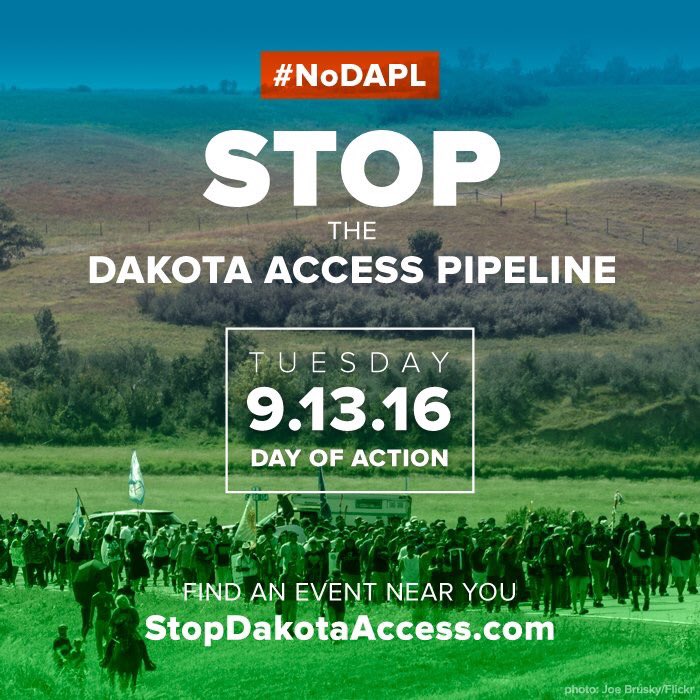 StopDAPL.jpg