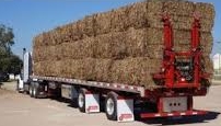 Straw Delivery.jpg