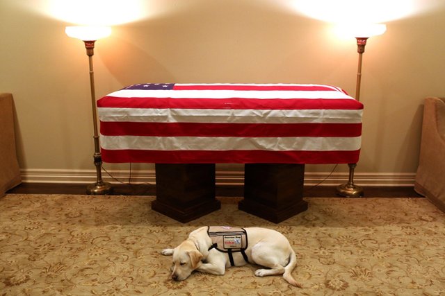 sully president bush service dog.jpg