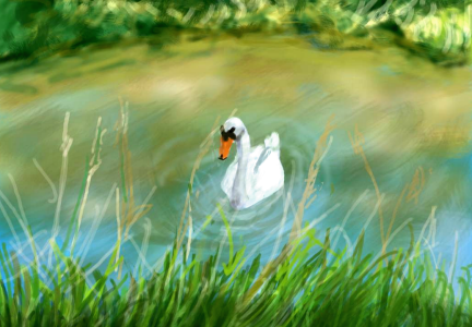 swan bright. res.png