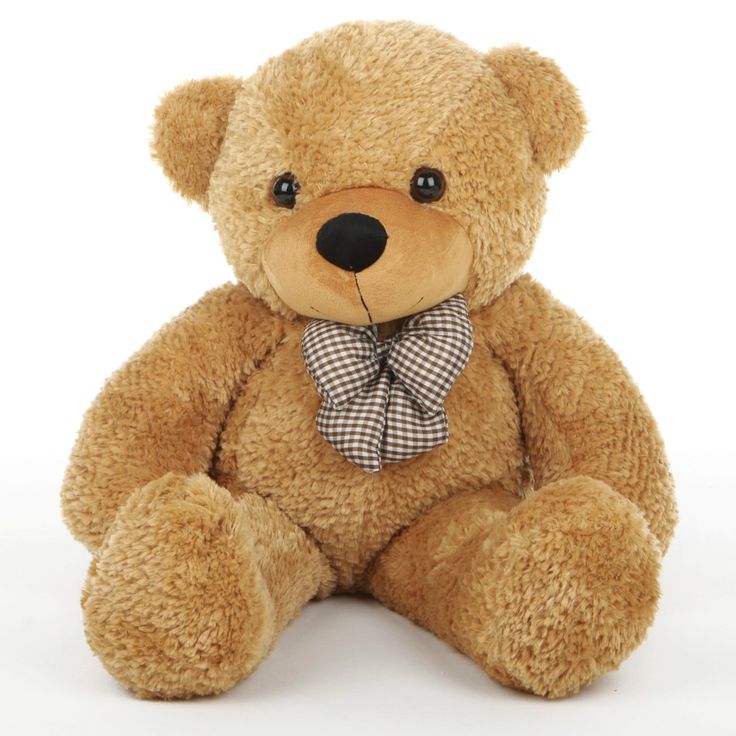 TEDDY BEAR cute.jpg