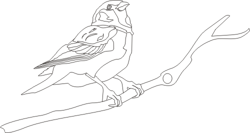 testlinebird.PNG