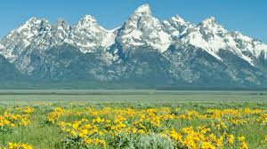teton.jpeg