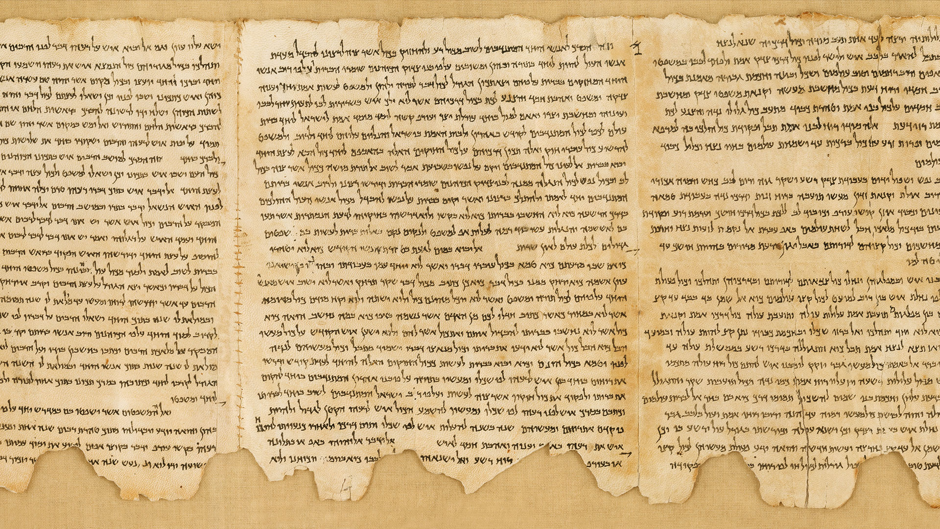 The-Dead-Sea-Scrolls.jpg