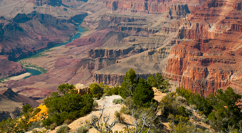 The-Grand-Canyon 2.png