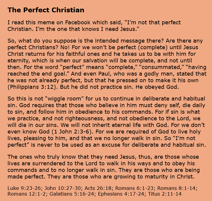 The Perfect Christian.png