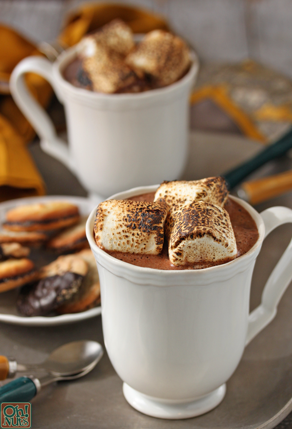 toasted-marshmallow-hot-chocolate-9.jpg