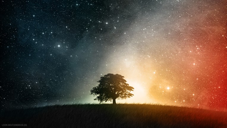 tree of life.jpg