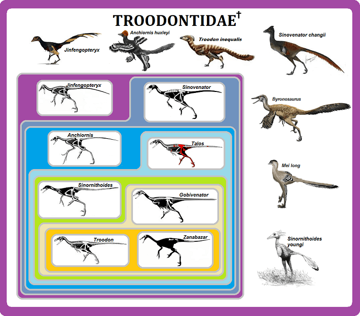 Troodontidae_half.png