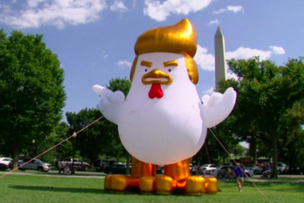 Trump-Chicken.jpg
