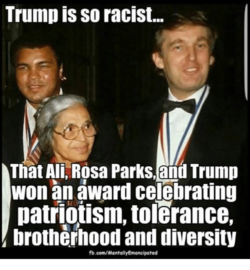 trump-is-so-racist-that-ali-rosa-parks-and-trump-4979915.png