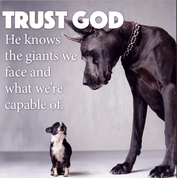 trust God 496.png