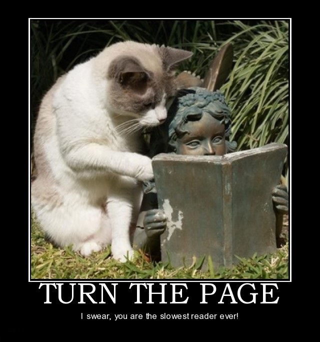 turn the page.jpg