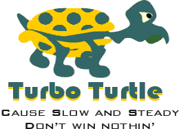 turtleavialt.GIF