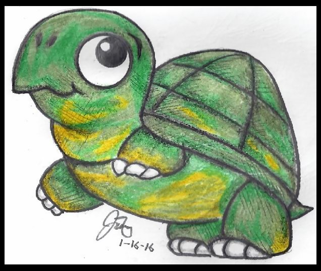 TurtleFINAL.jpg