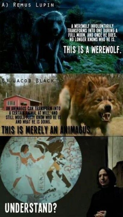 TwilightHarryPotter.jpg