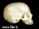 Untitled.png
