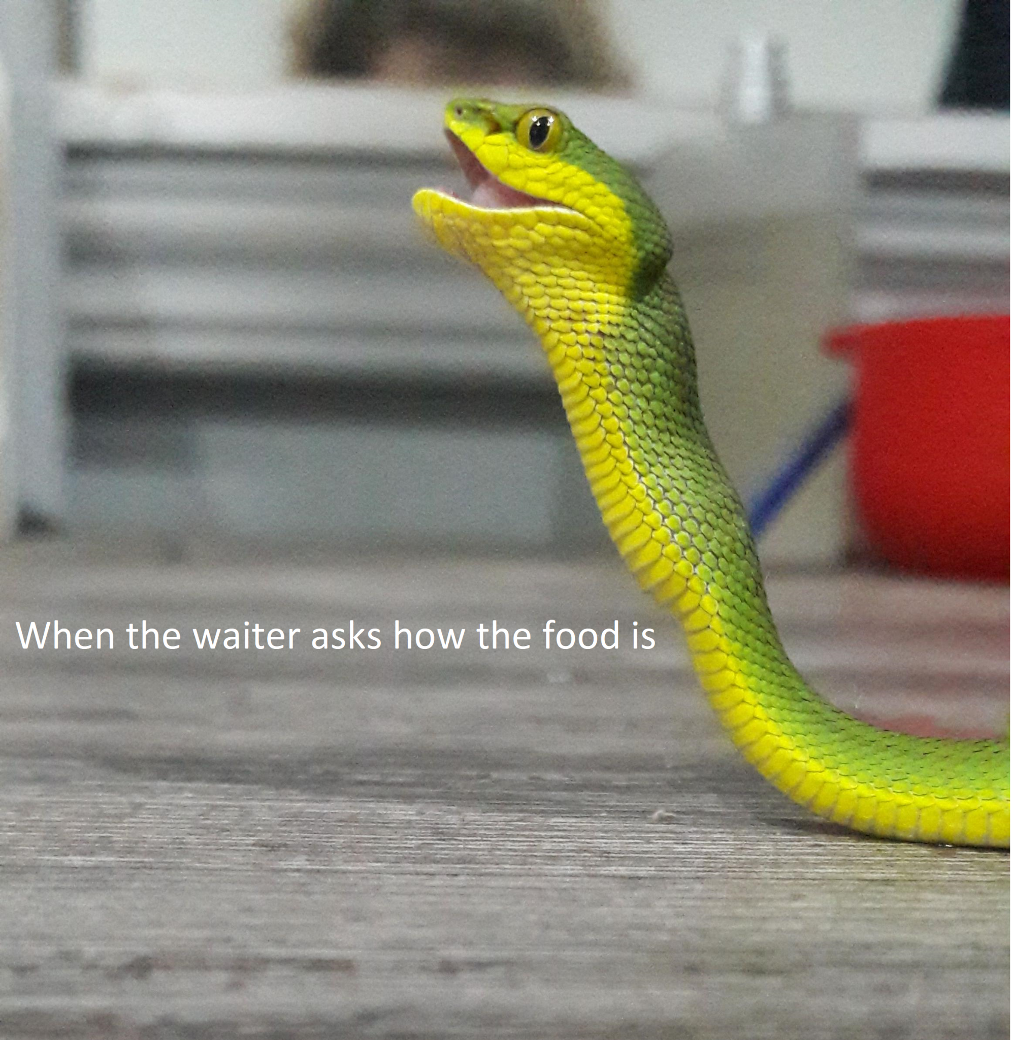Untitled.png