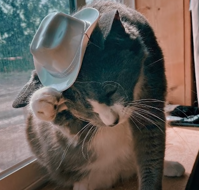 Untitled5.png