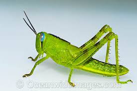 upload_2015-7-28_21-45-0.jpeg