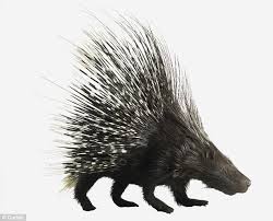 upload_2017-3-21_21-28-14.jpeg