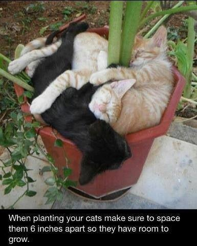 upload_2017-5-10_15-44-6.png