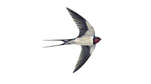 upload_2017-5-5_22-52-20.jpeg