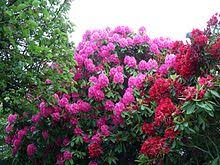 upload_2019-6-4_11-38-42.jpeg