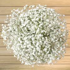 upload_2019-7-25_13-41-17.jpeg