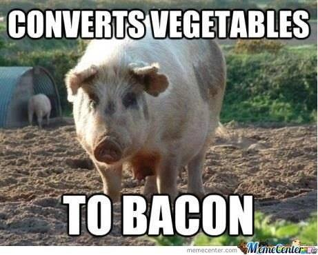 veg to bacon.png