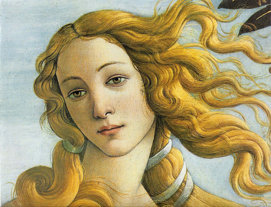 Venus_botticelli_detail_o_905.jpg