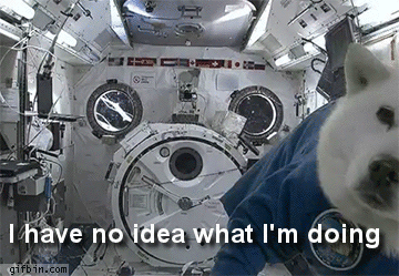 vmfdu78-imgur-gif.194438
