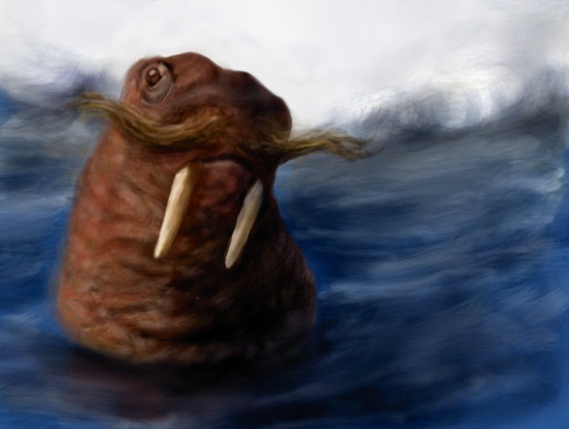walr.PNG