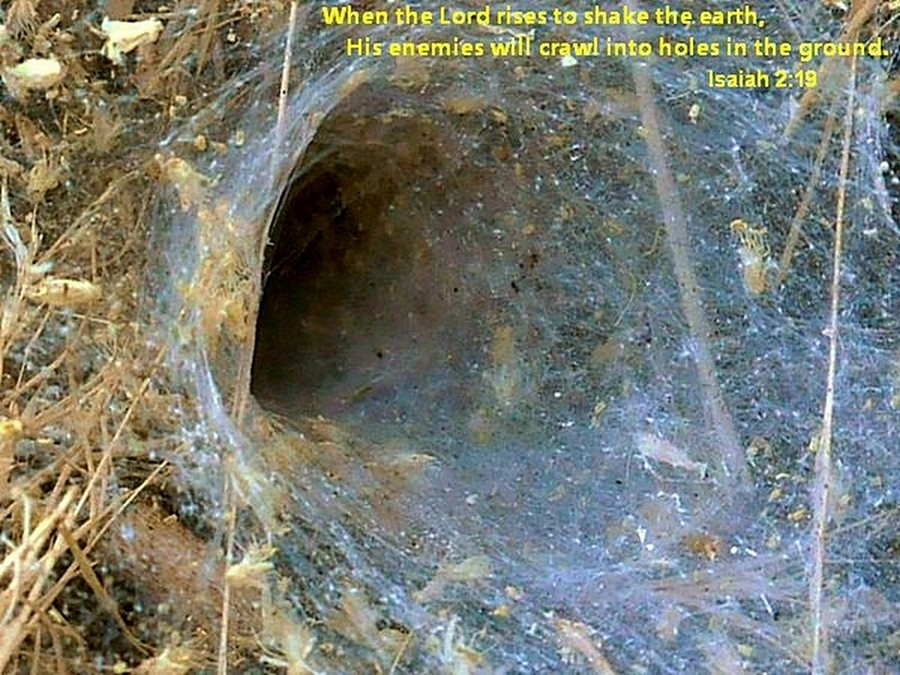 Web285.JPG