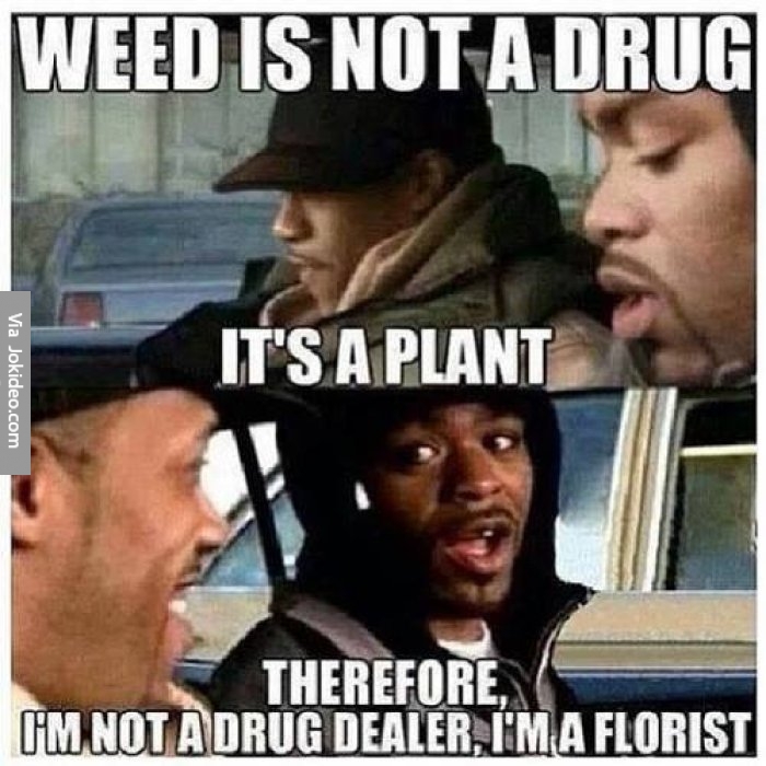 Weed-is-not-a-drug---meme.jpg