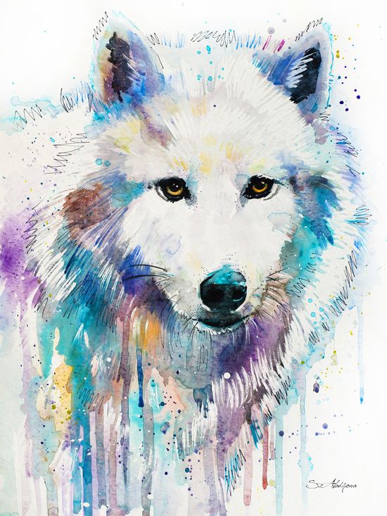 whitewolf.jpg